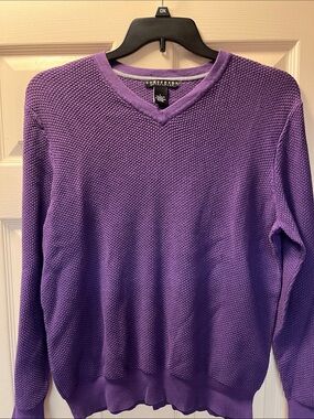 EUC Consensus Sportswear Lg Mens Purple V-Neck Sweater 100% cotton